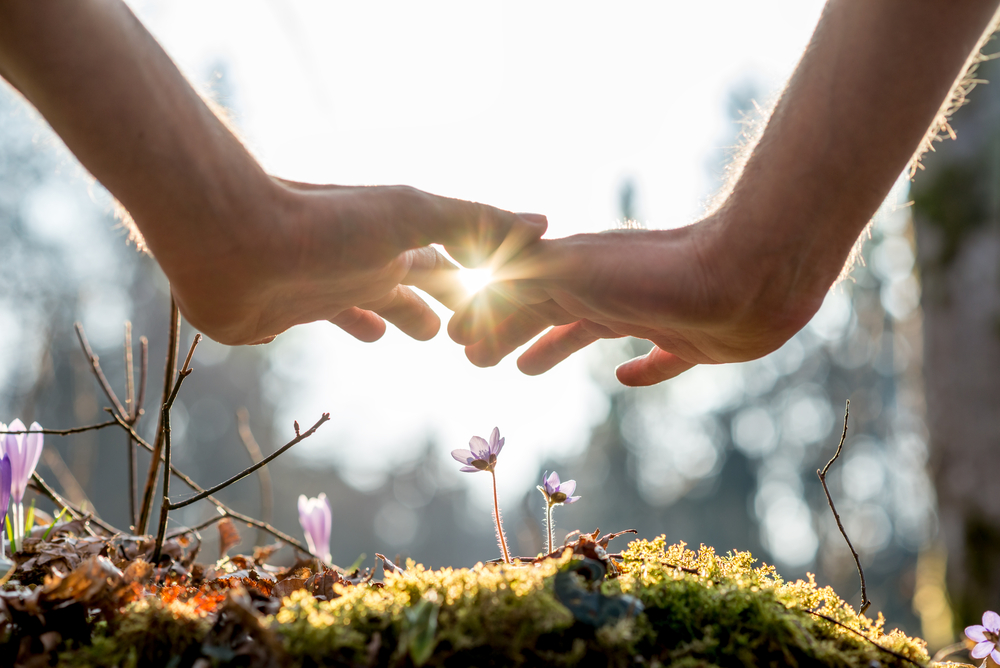 Close,up,bare,hand,of,a,man,covering,small,flowers