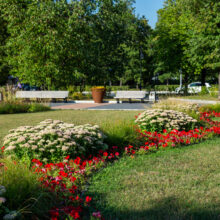 Amazing,flowerbed,near,vdnkh, ,idyllic,summer,in,russian,capital