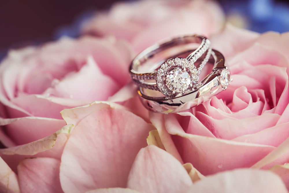 Wedding,rings,on,the,rose
